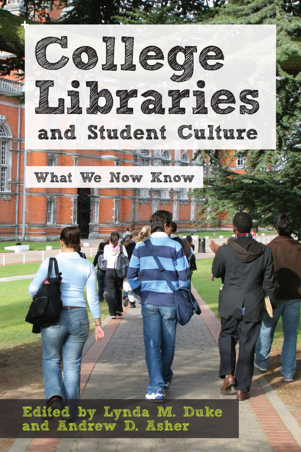 Big bigCover of College Libraries and Student Culture