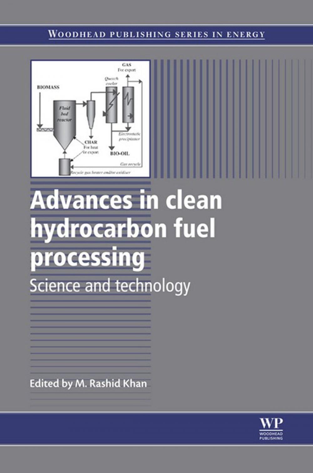 Big bigCover of Advances in Clean Hydrocarbon Fuel Processing