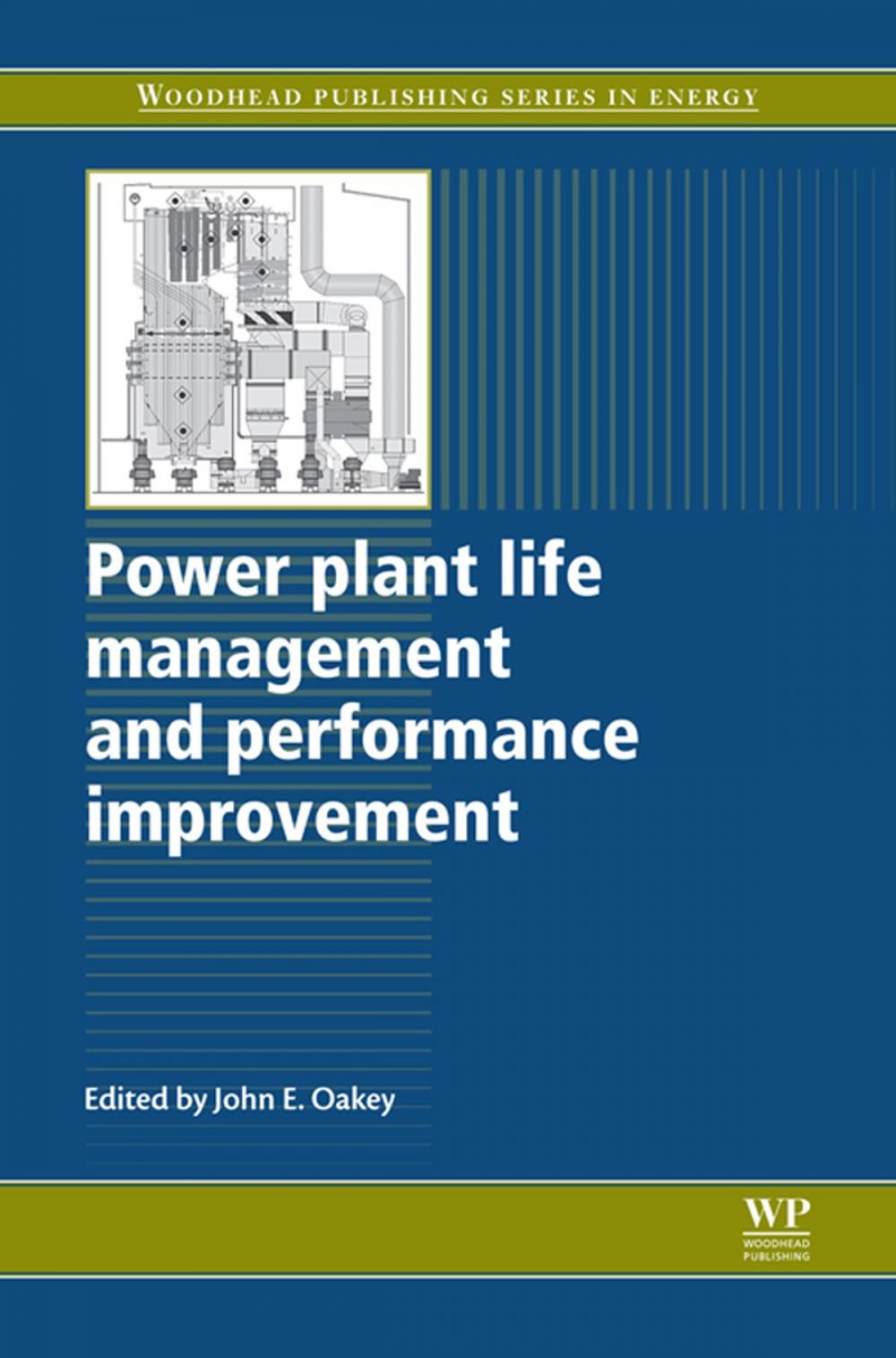 Big bigCover of Power Plant Life Management and Performance Improvement