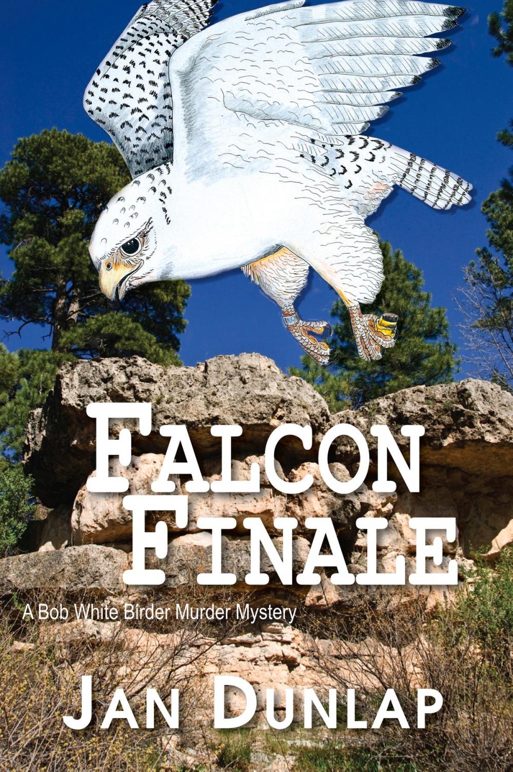 Big bigCover of Falcon Finale