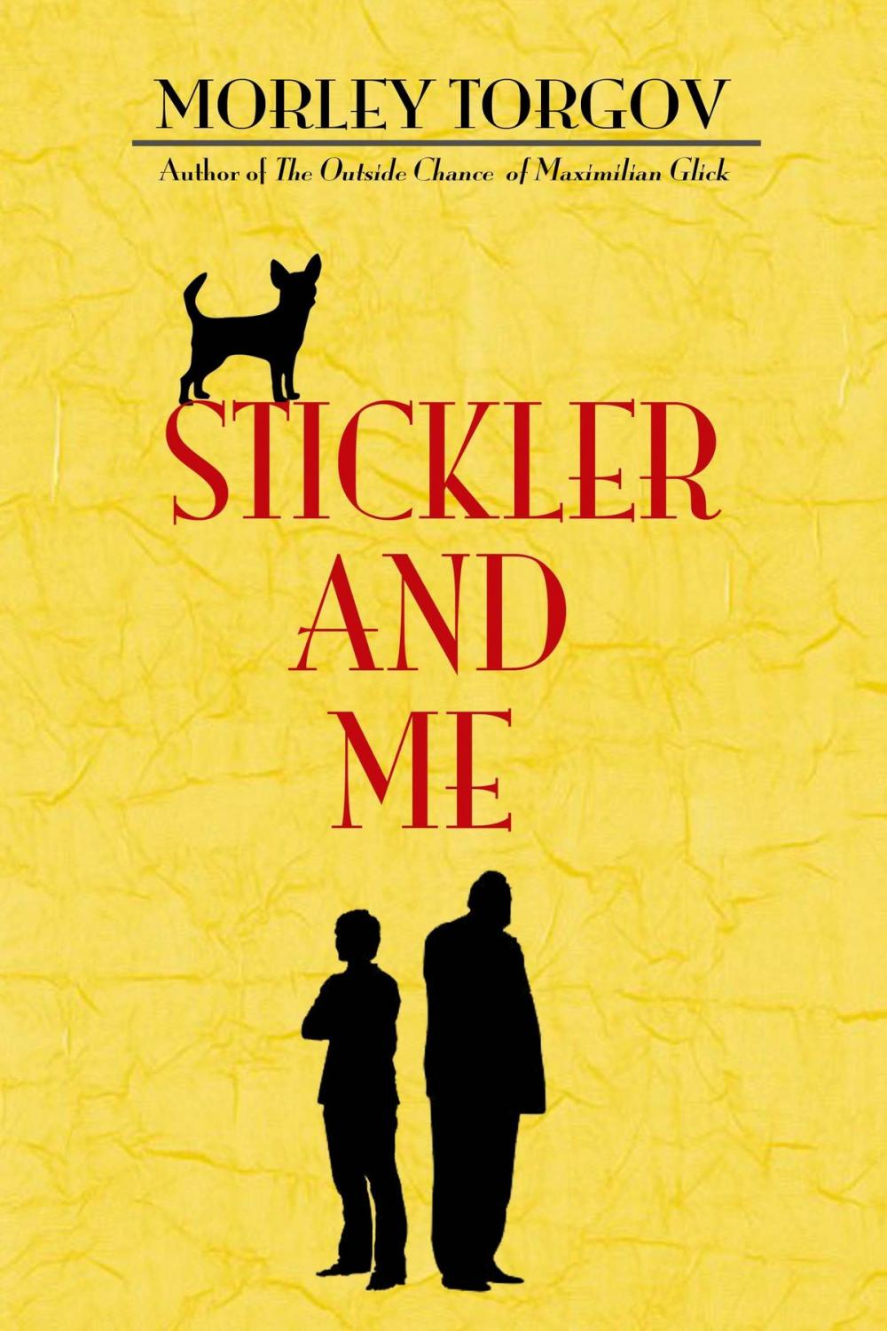 Big bigCover of Stickler and Me