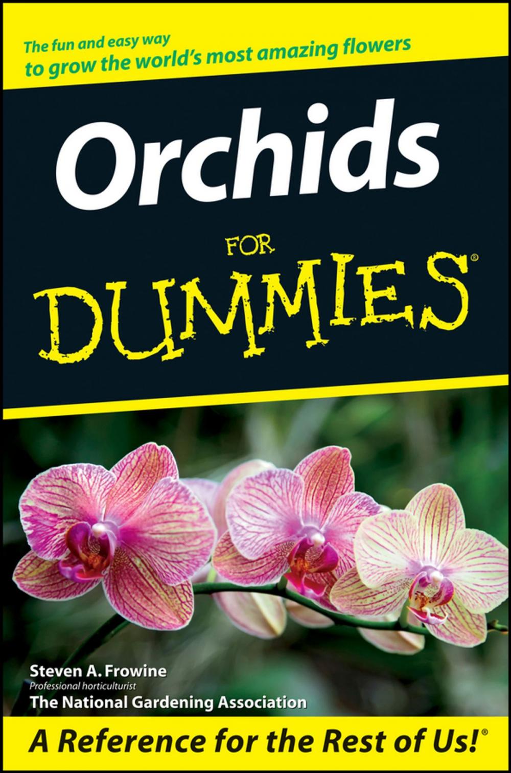 Big bigCover of Orchids For Dummies