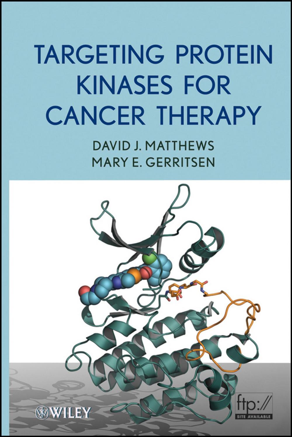 Big bigCover of Targeting Protein Kinases for Cancer Therapy