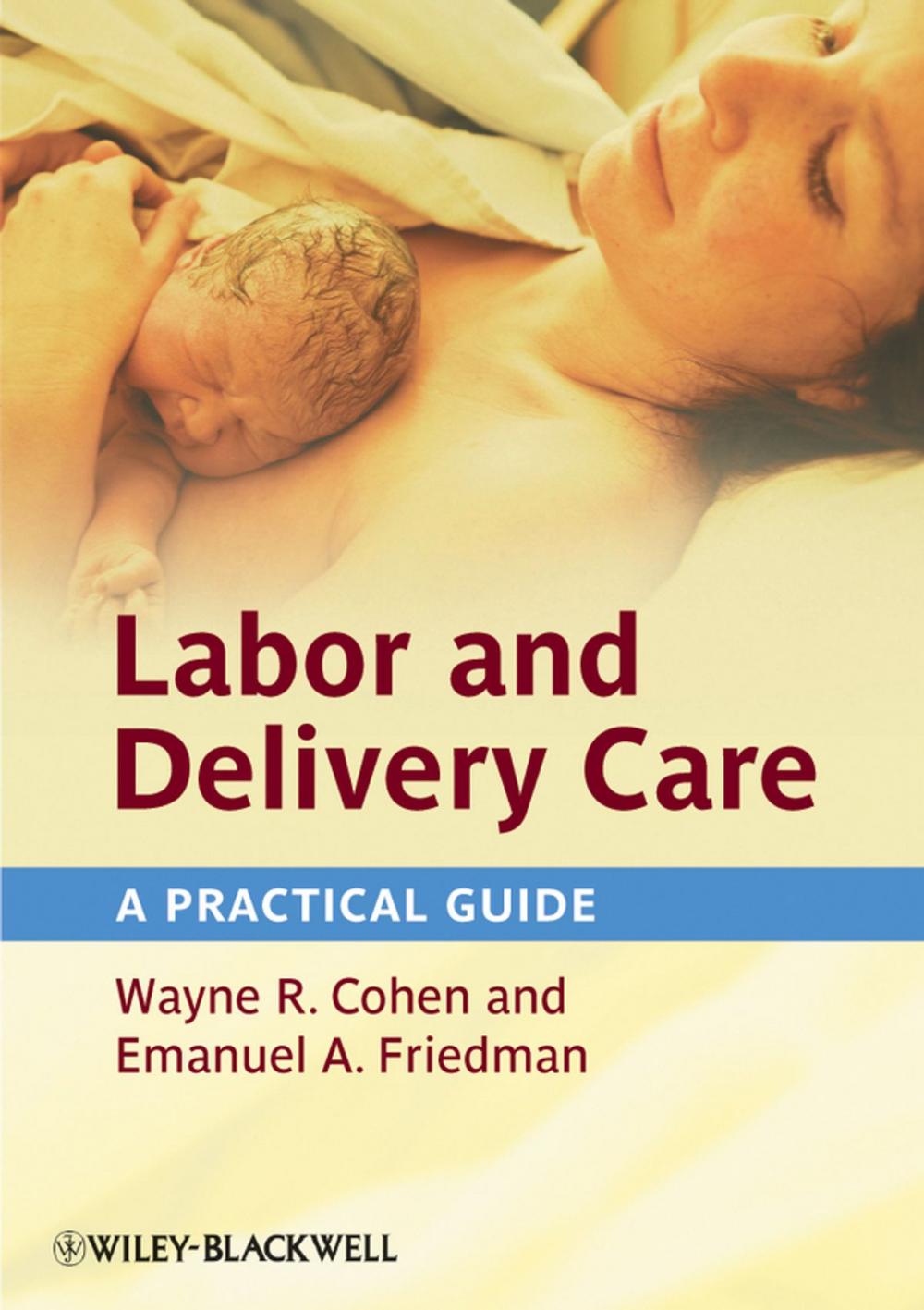 Big bigCover of Labor and Delivery Care