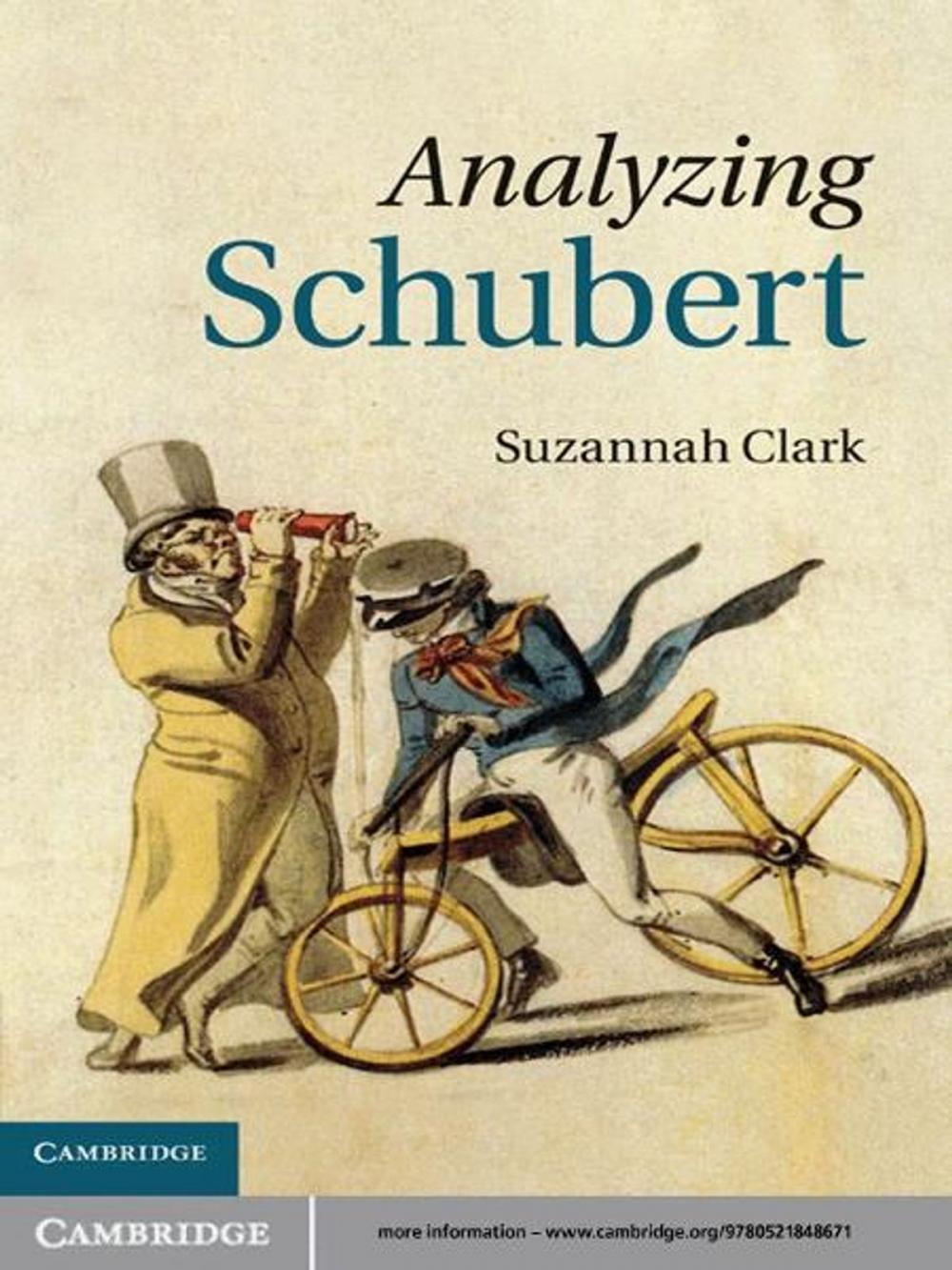 Big bigCover of Analyzing Schubert