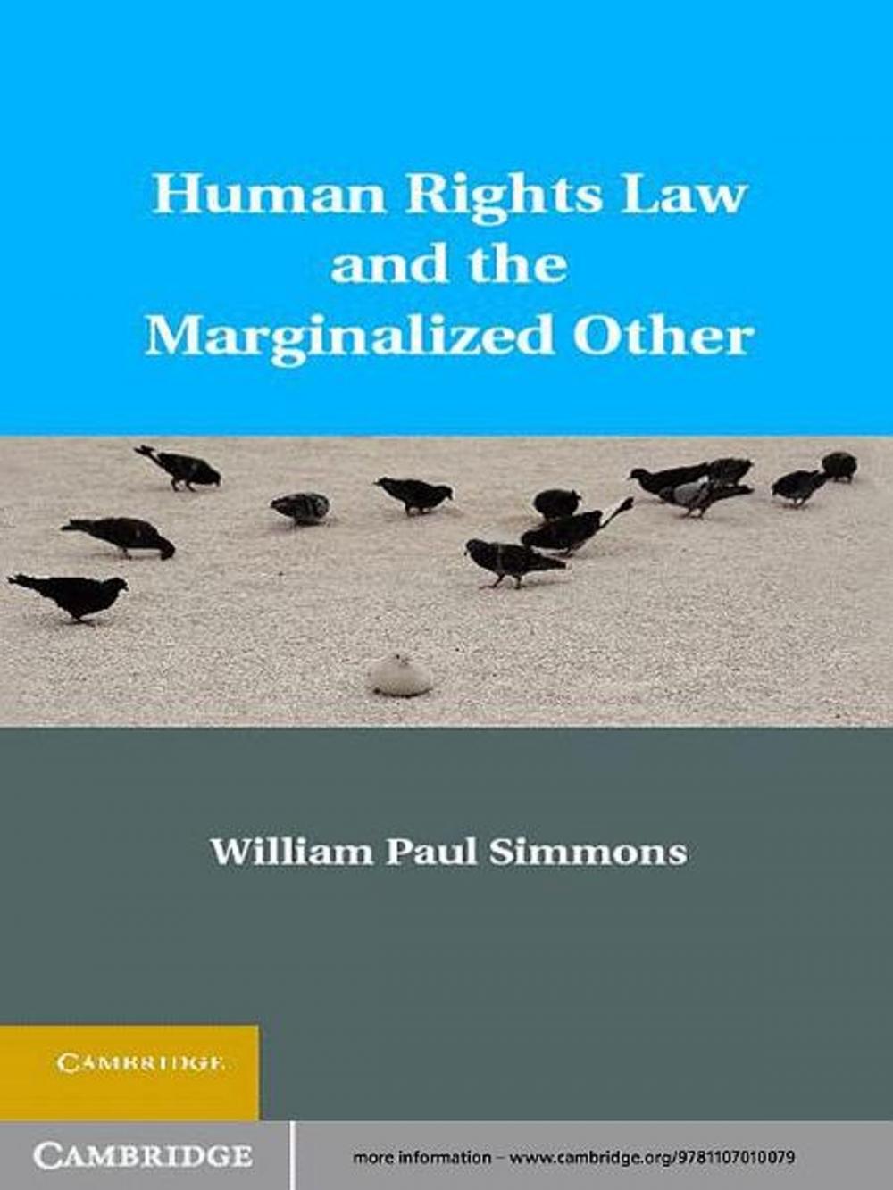 Big bigCover of Human Rights Law and the Marginalized Other