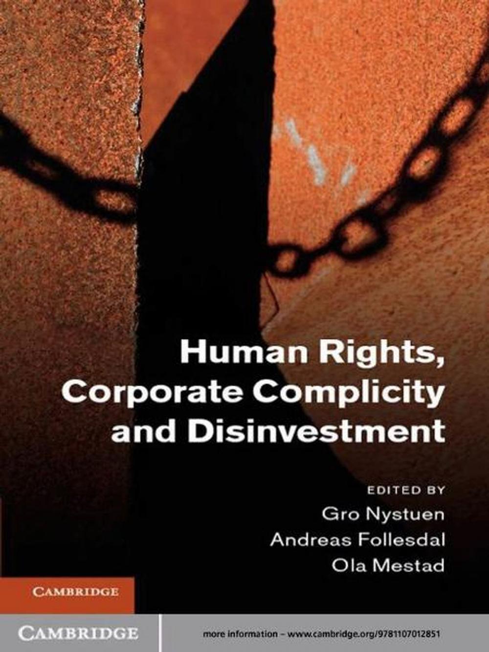 Big bigCover of Human Rights, Corporate Complicity and Disinvestment