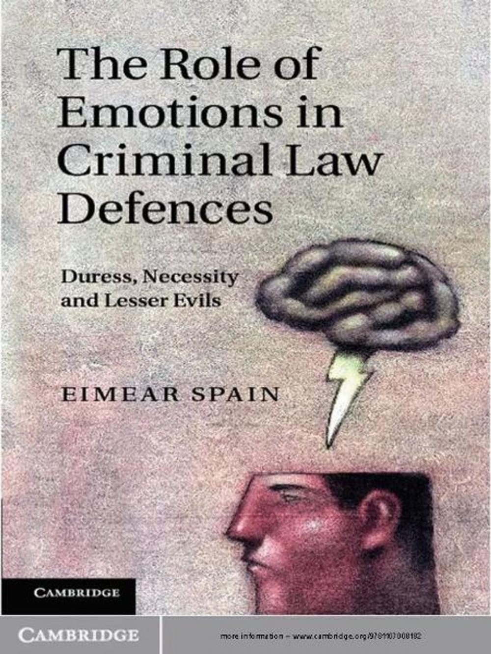 Big bigCover of The Role of Emotions in Criminal Law Defences