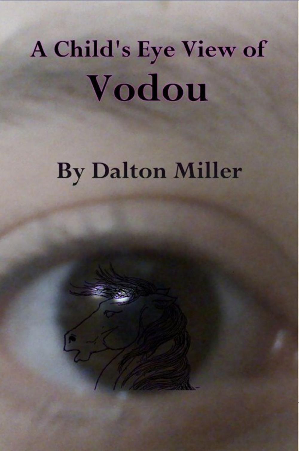 Big bigCover of A Child's Eye View of Vodou