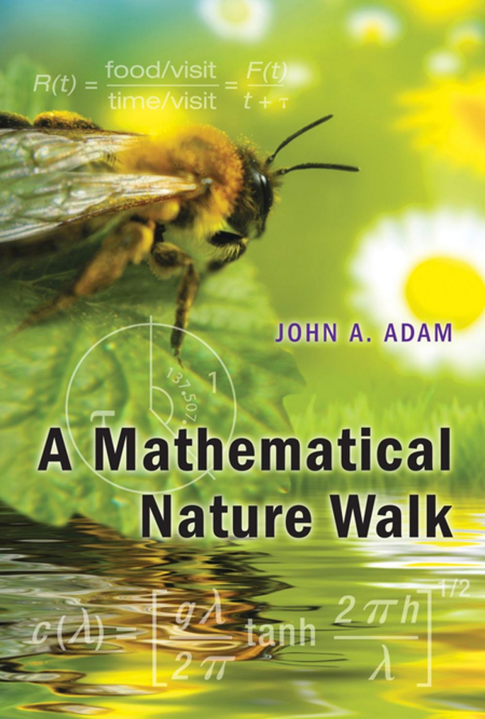 Big bigCover of A Mathematical Nature Walk