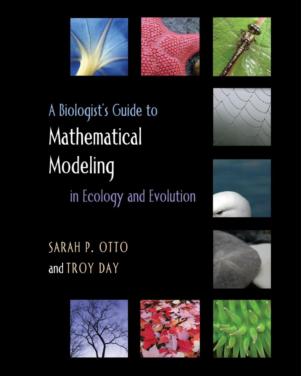 Big bigCover of A Biologist's Guide to Mathematical Modeling in Ecology and Evolution