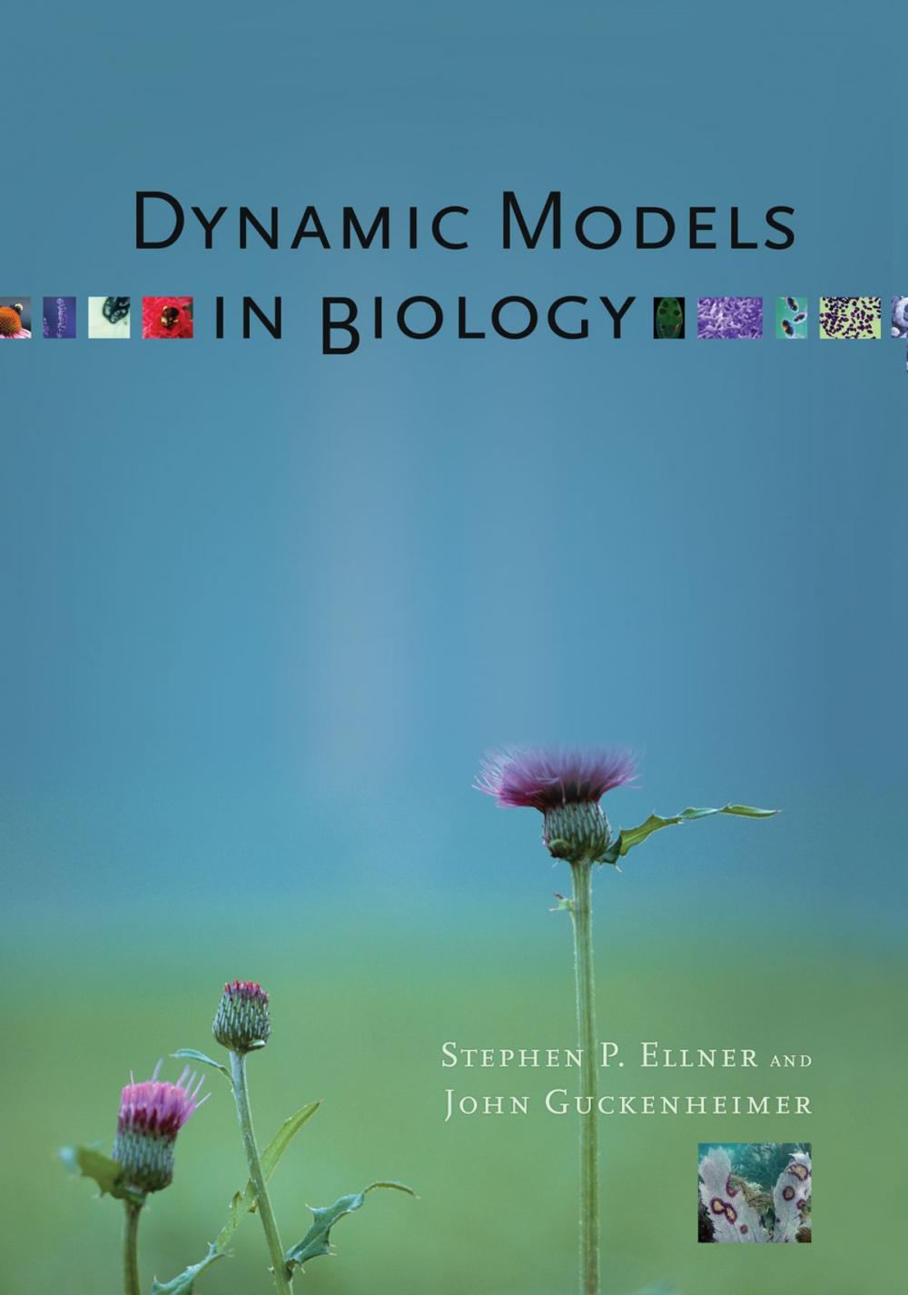 Big bigCover of Dynamic Models in Biology