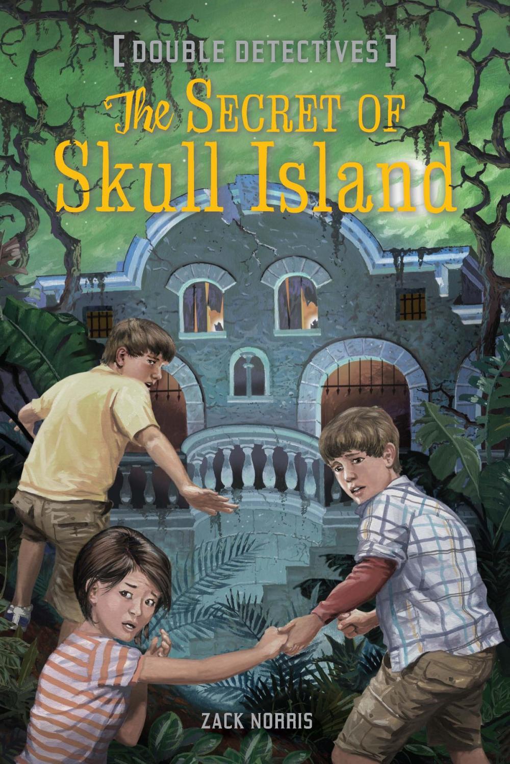 Big bigCover of The Secret of Skull Island