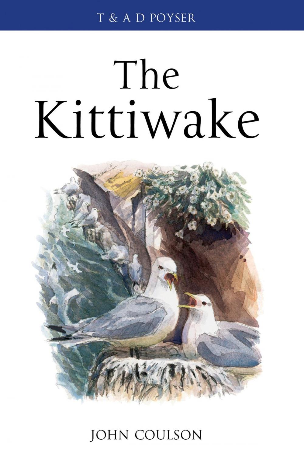 Big bigCover of The Kittiwake