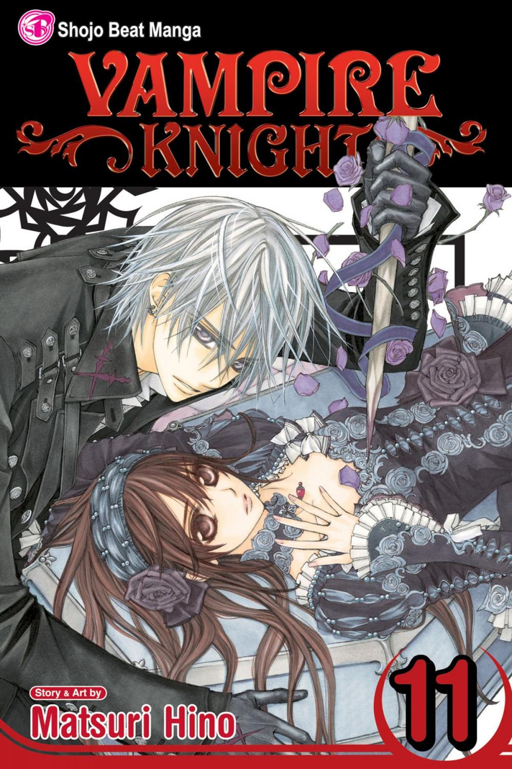 Big bigCover of Vampire Knight, Vol. 11