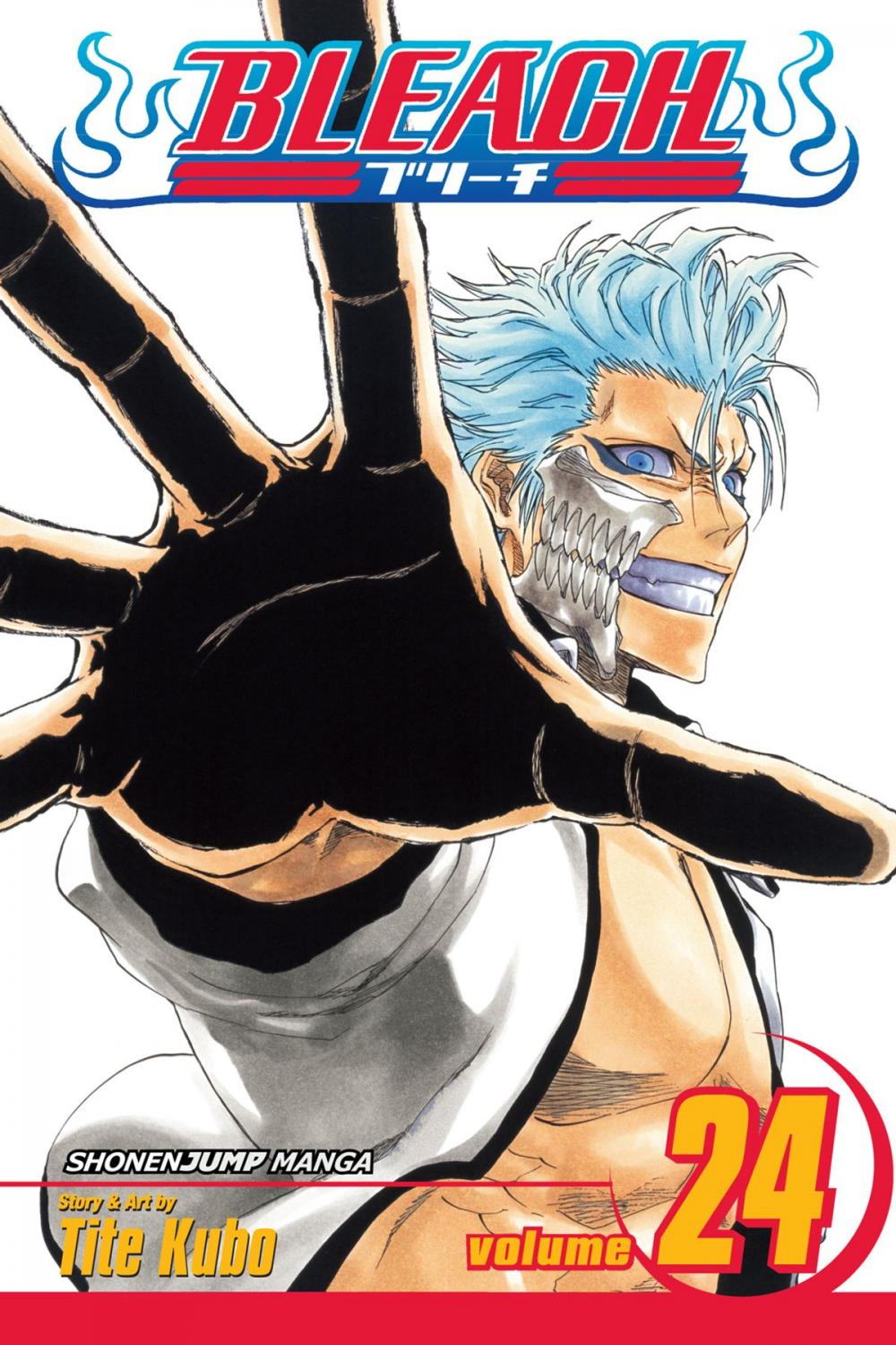 Big bigCover of Bleach, Vol. 24