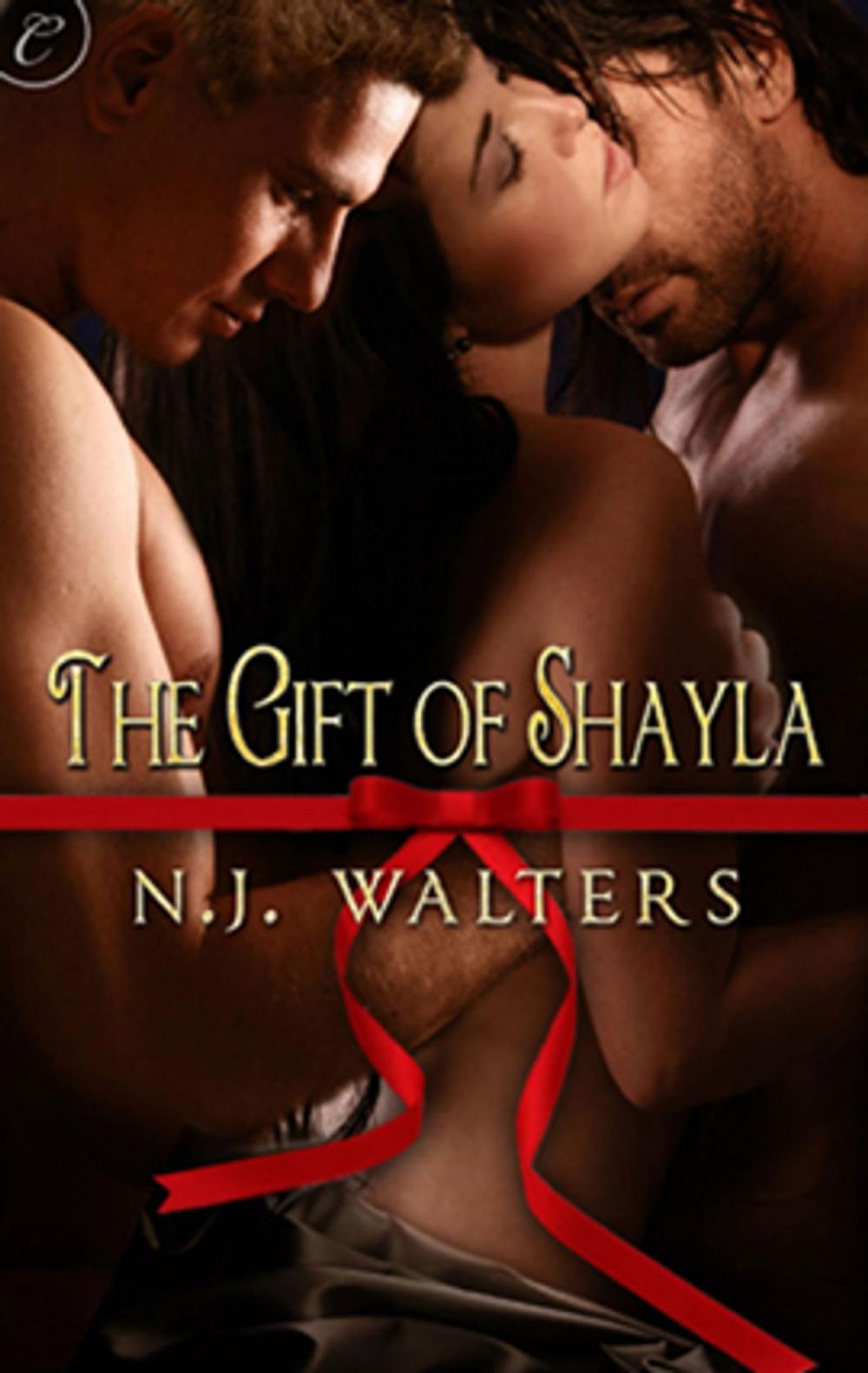 Big bigCover of The Gift of Shayla