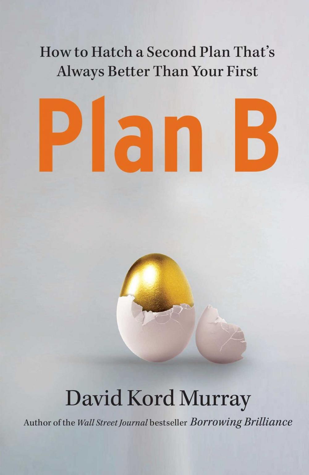 Big bigCover of Plan B