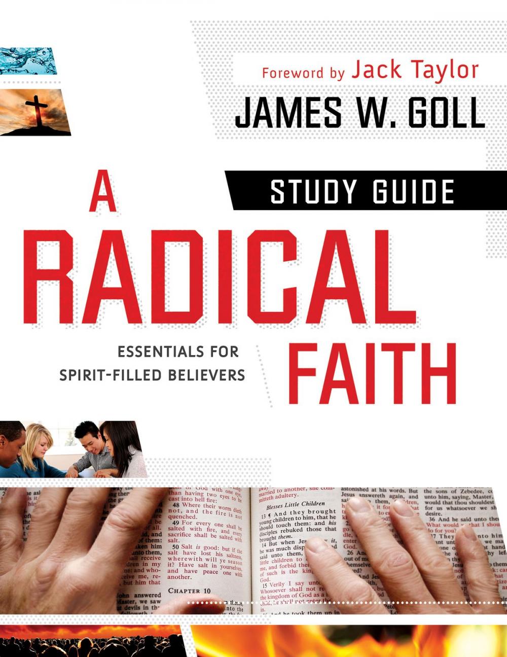 Big bigCover of A Radical Faith : Study Guide