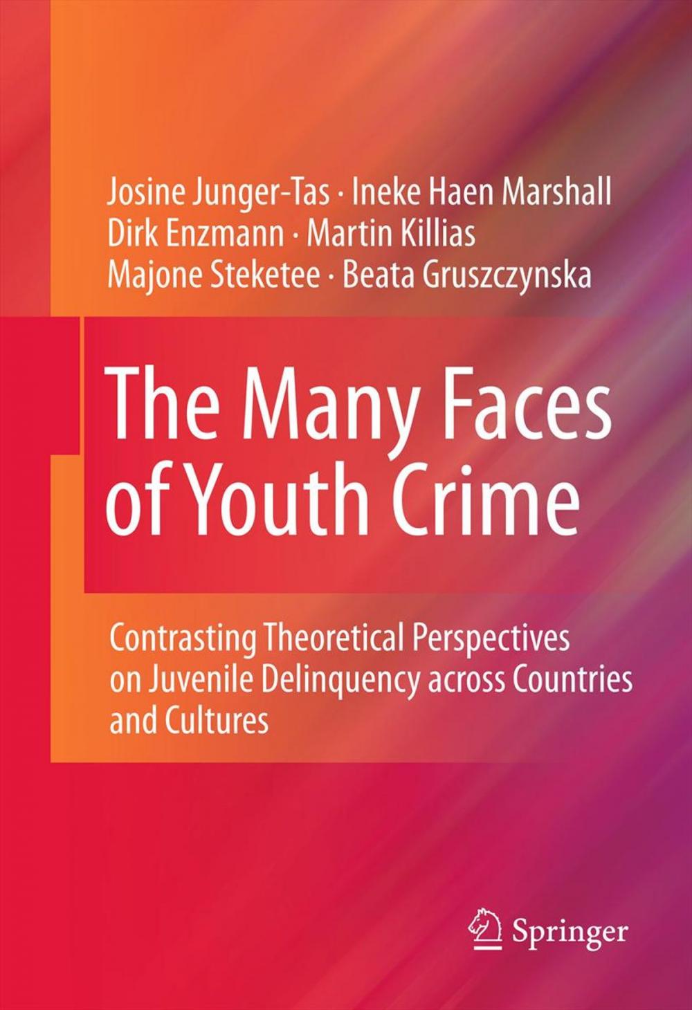 Big bigCover of The Many Faces of Youth Crime