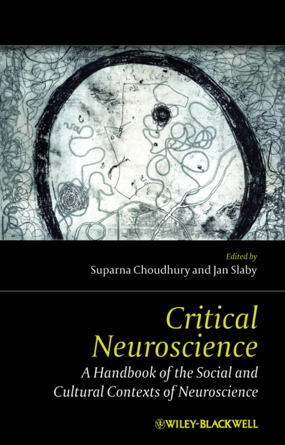 Big bigCover of Critical Neuroscience