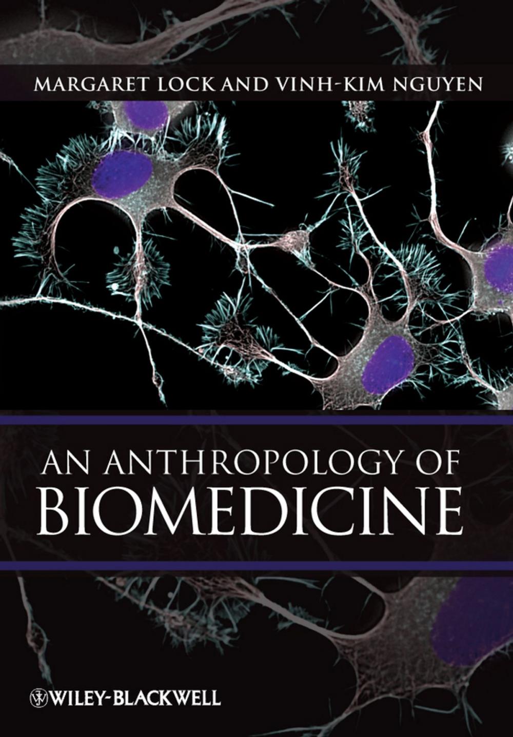 Big bigCover of An Anthropology of Biomedicine