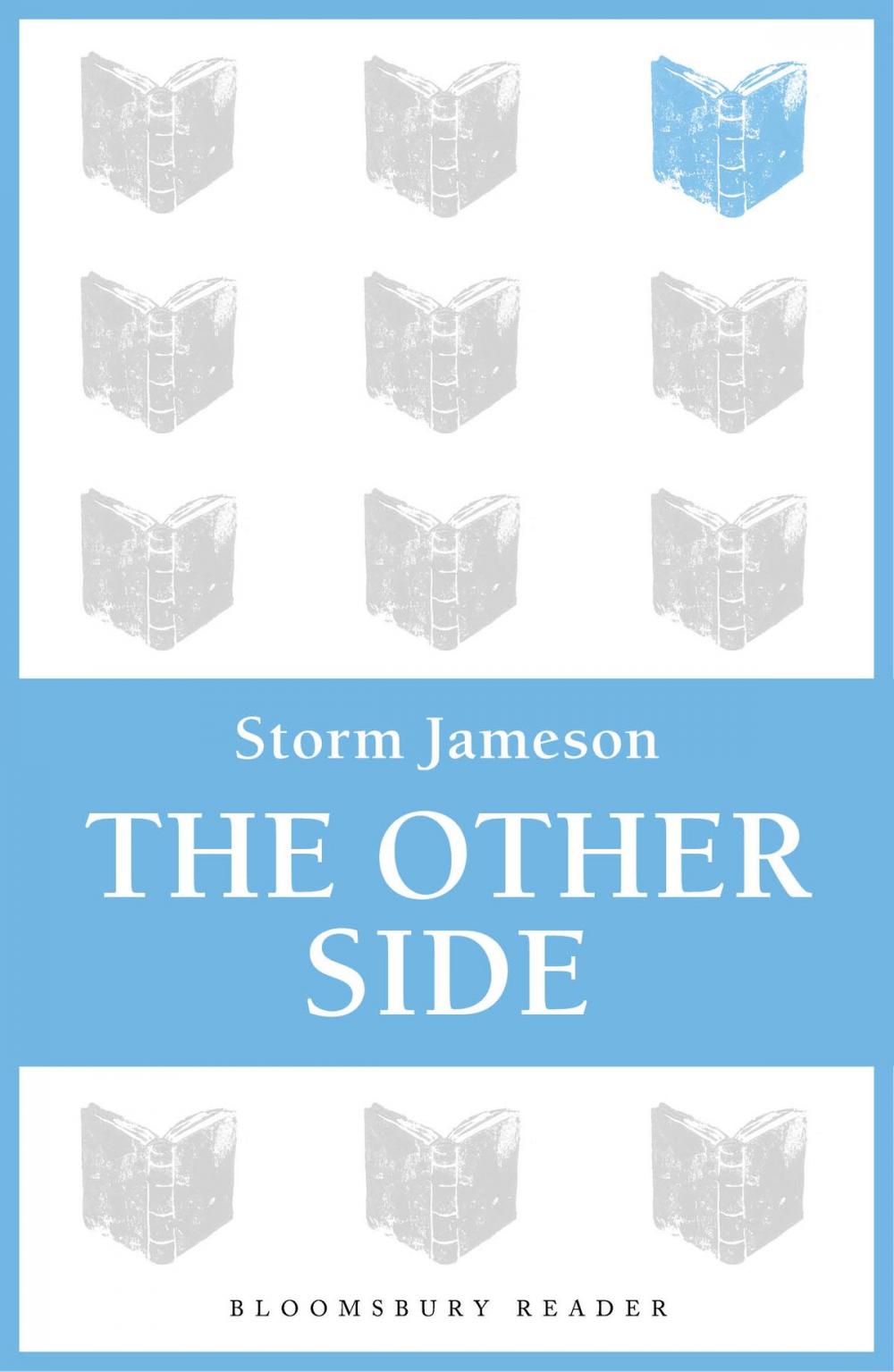 Big bigCover of The Other Side