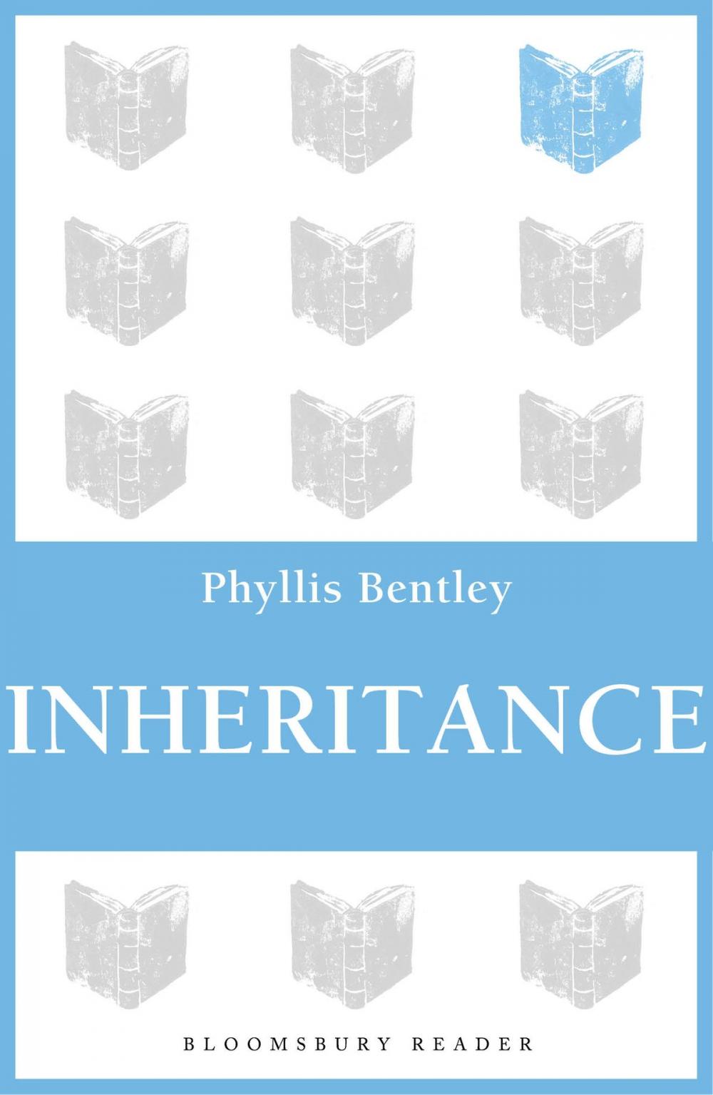 Big bigCover of Inheritance