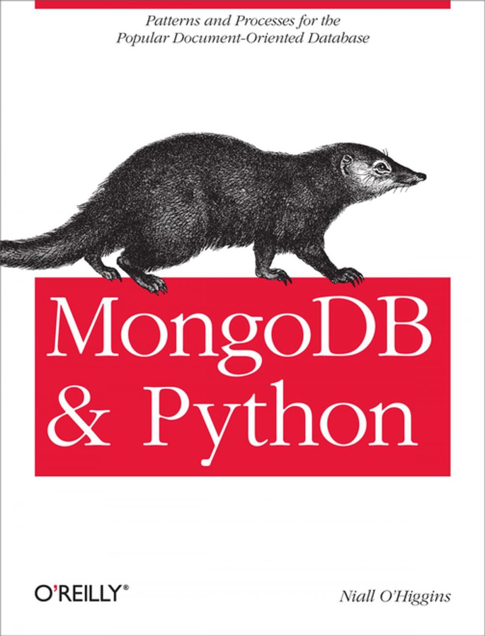 Big bigCover of MongoDB and Python