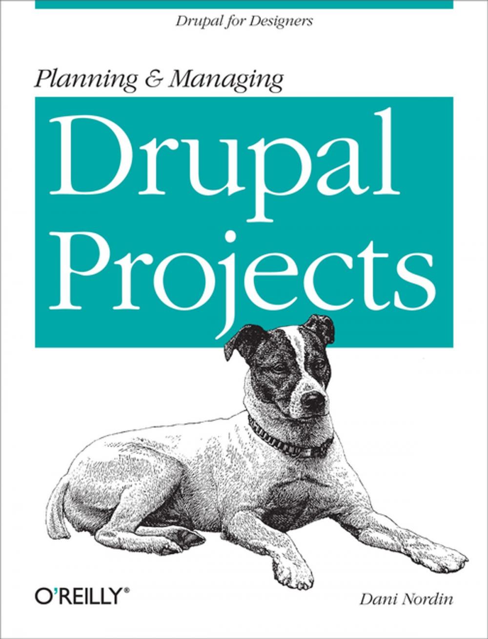 Big bigCover of Planning and Managing Drupal Projects