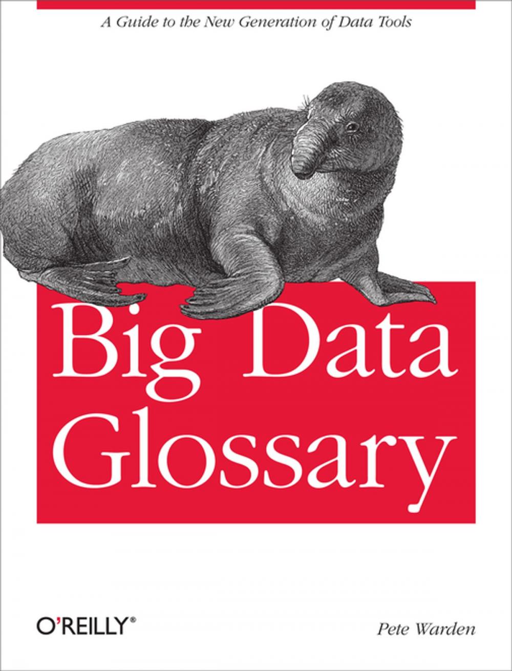 Big bigCover of Big Data Glossary