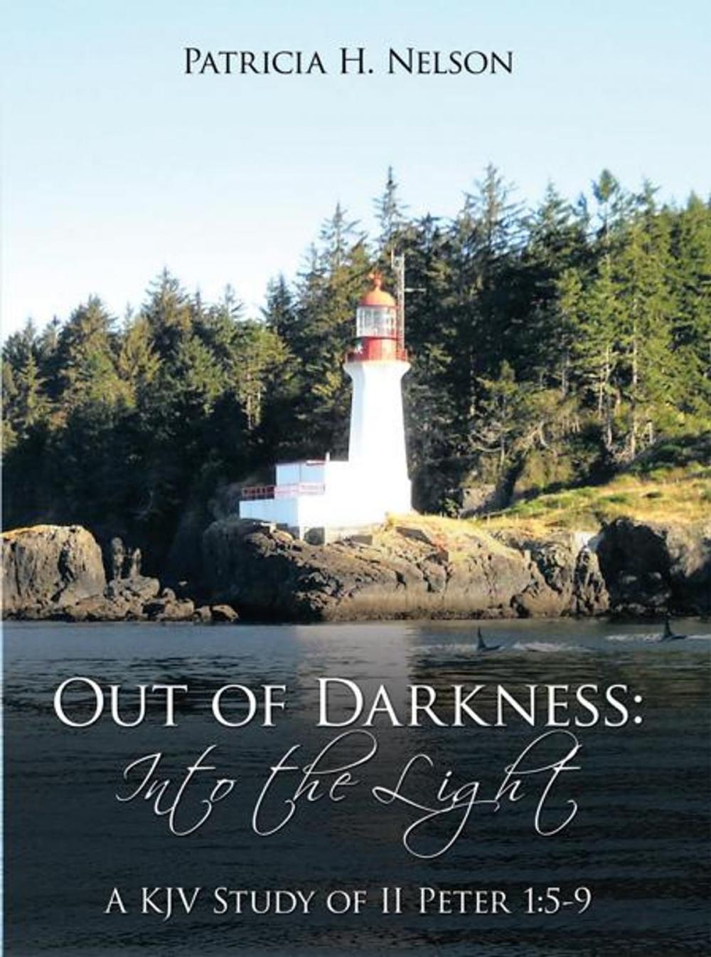 Big bigCover of Out of Darkness: into the Light