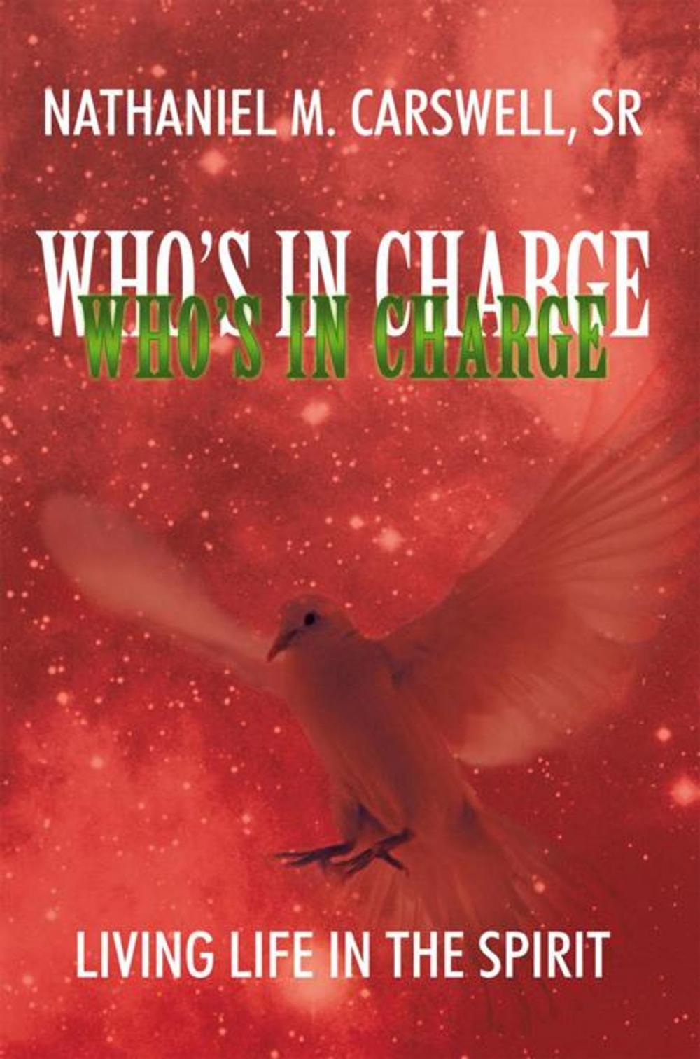 Big bigCover of Who's in Charge