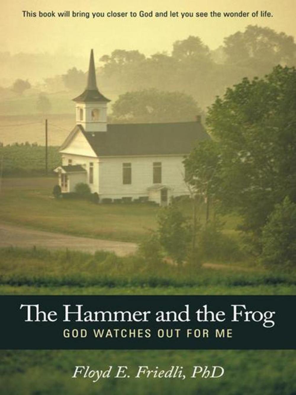 Big bigCover of The Hammer and the Frog, God Watches out for Me