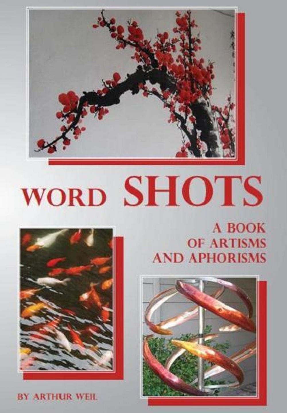 Big bigCover of Word SHOTS