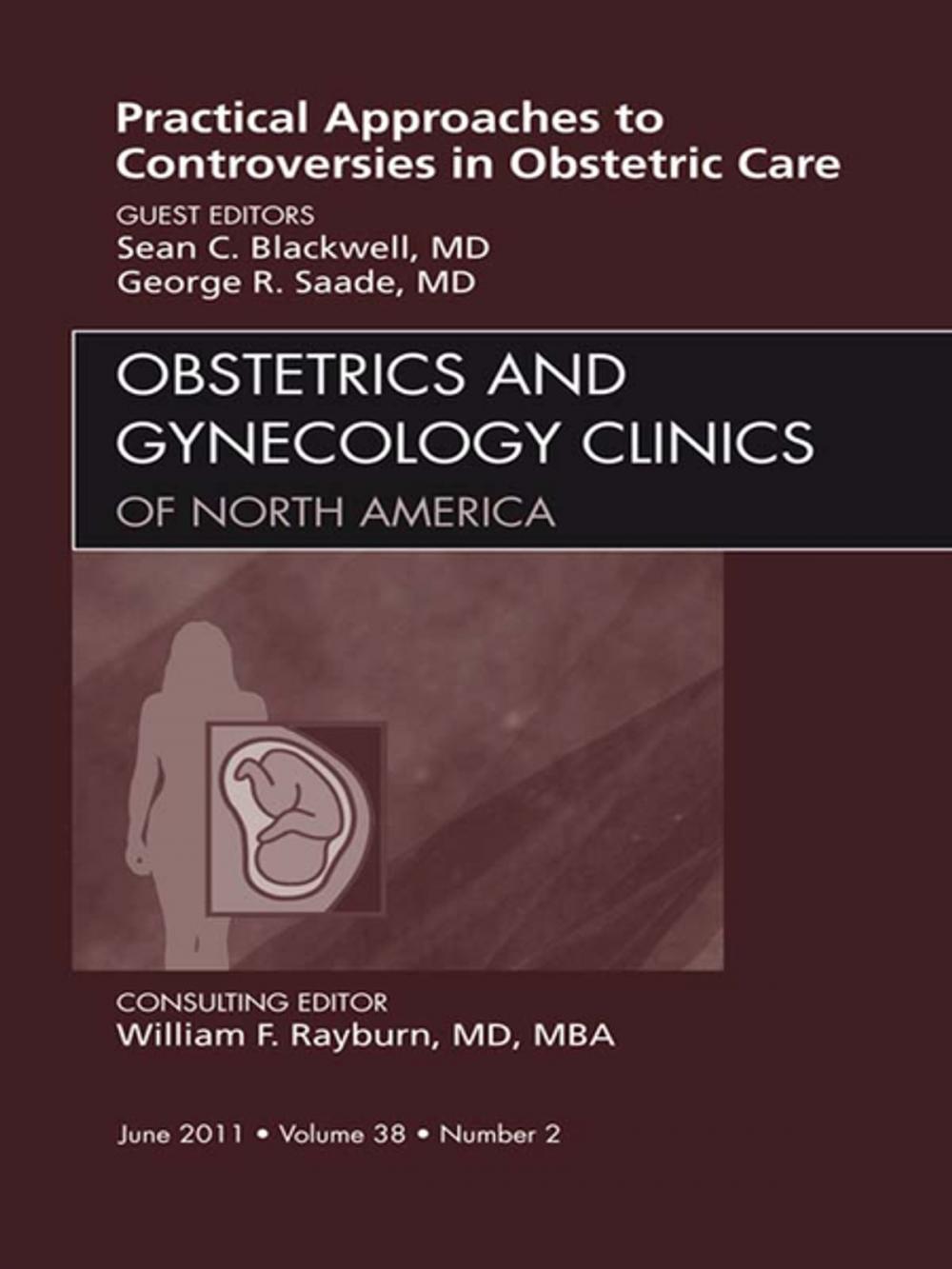 Big bigCover of Practical Approaches to Controversies in Obstetrical Care, An Issue of Obstetrics and Gynecology Clinics - E-Book