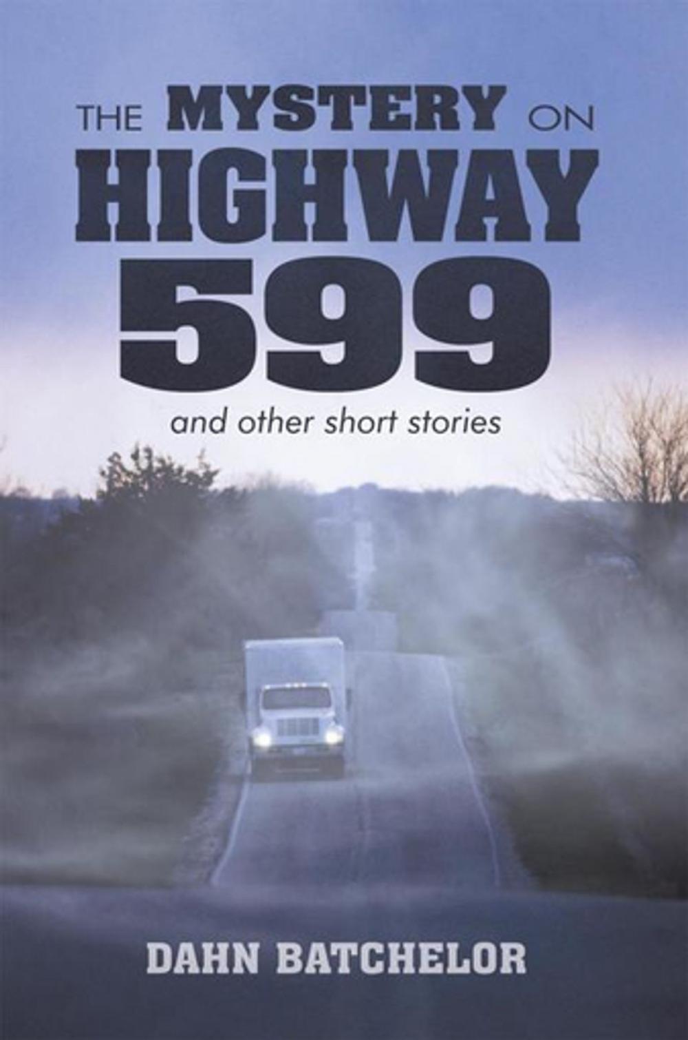 Big bigCover of The Mystery on Highway 599 and Other Short Stories