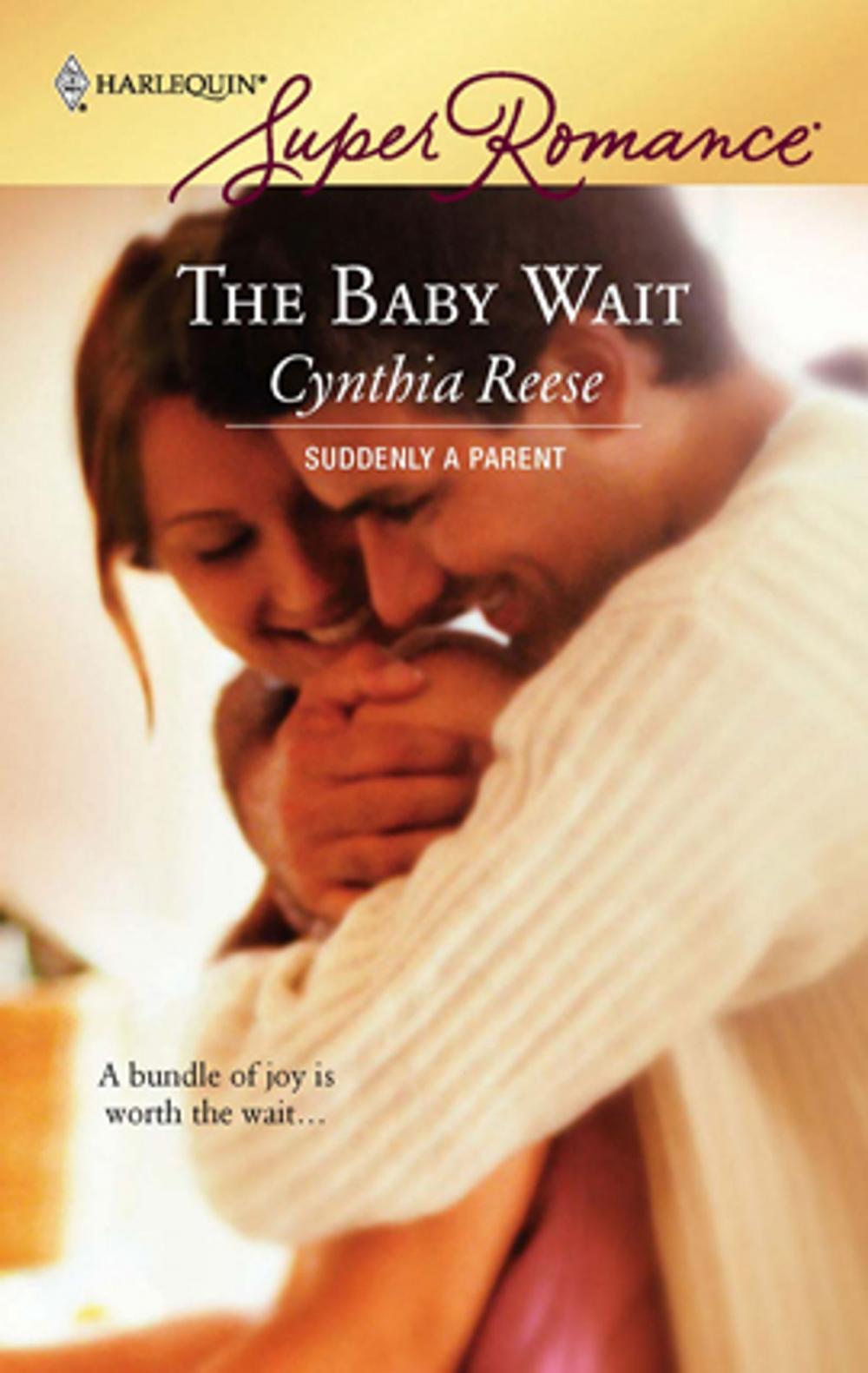 Big bigCover of The Baby Wait