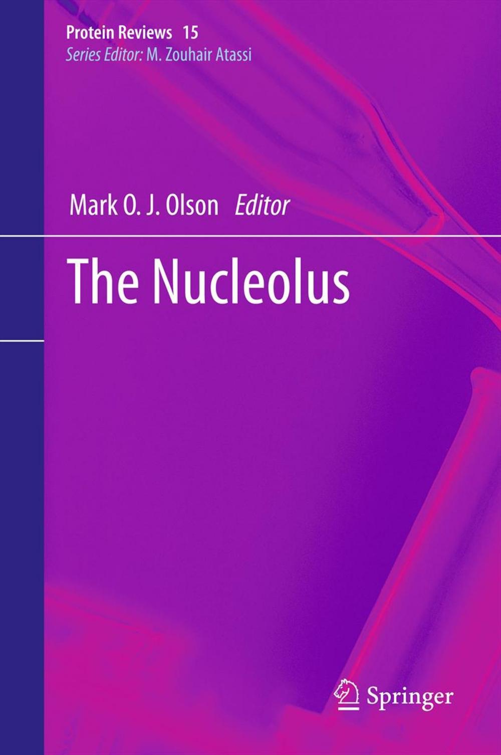 Big bigCover of The Nucleolus