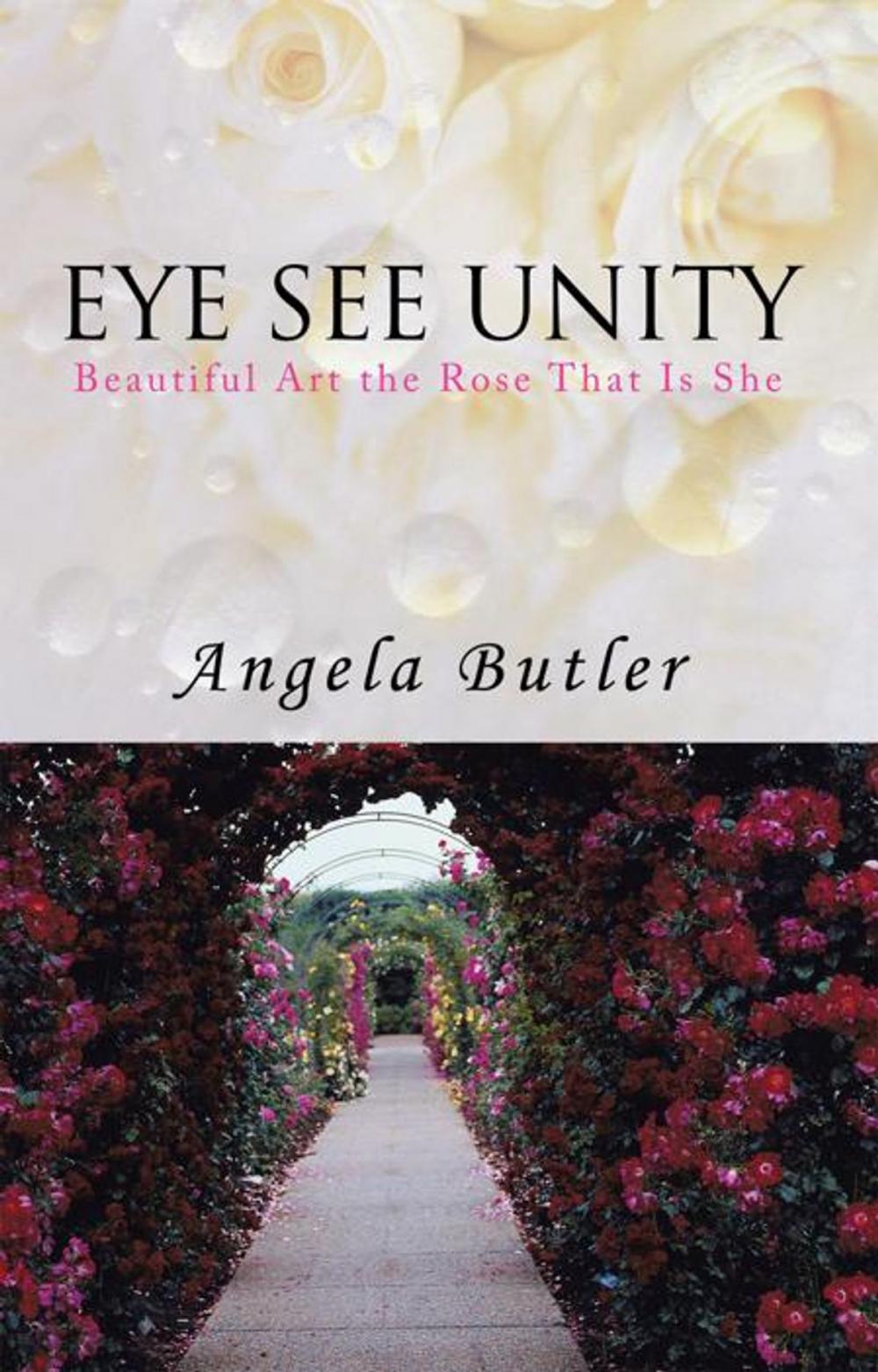 Big bigCover of Eye See Unity