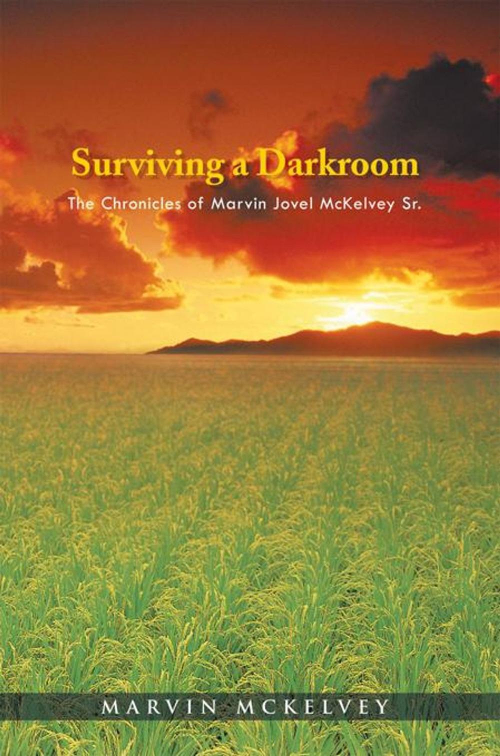 Big bigCover of Surviving a Darkroom