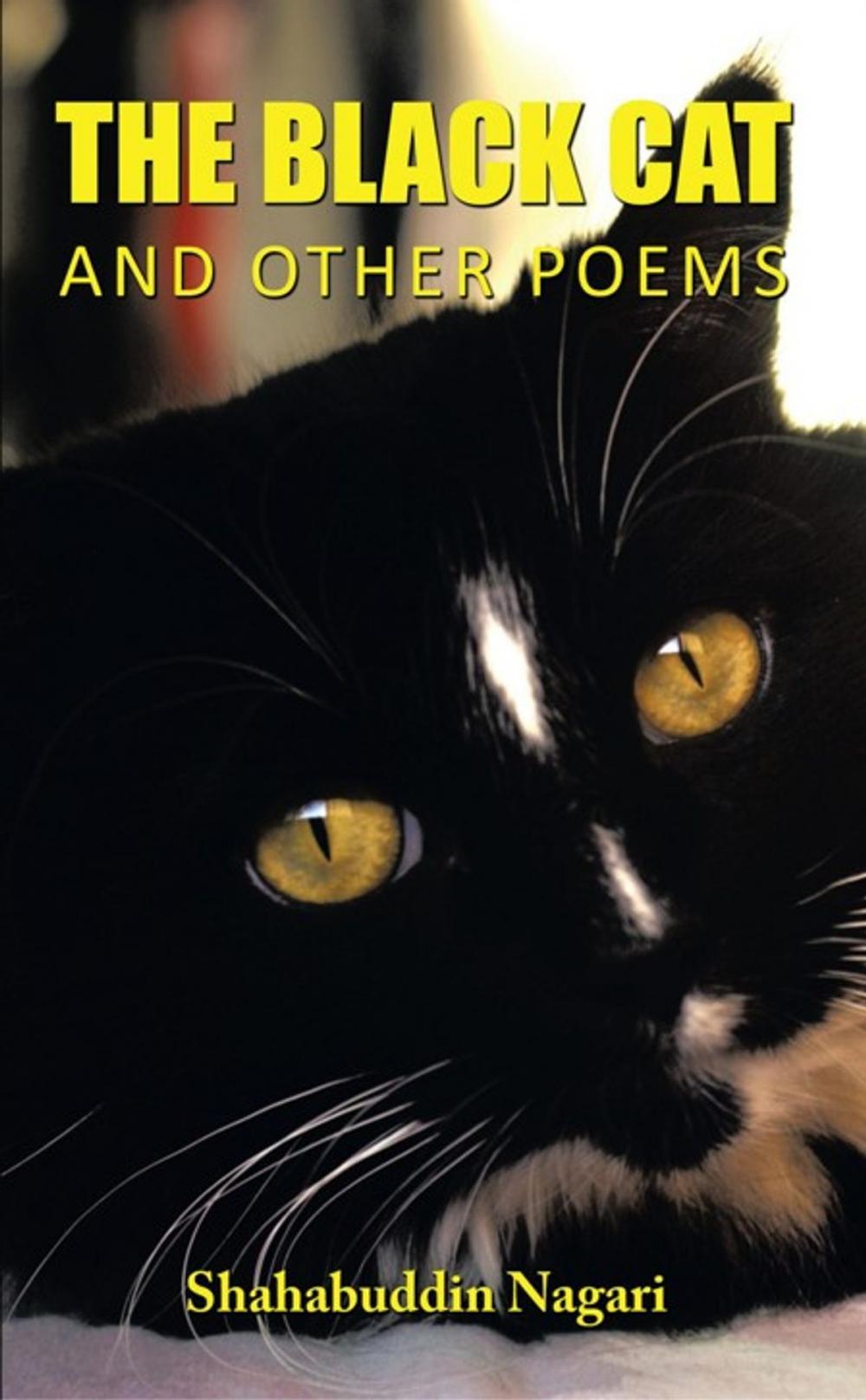 Big bigCover of The Black Cat and Other Poems