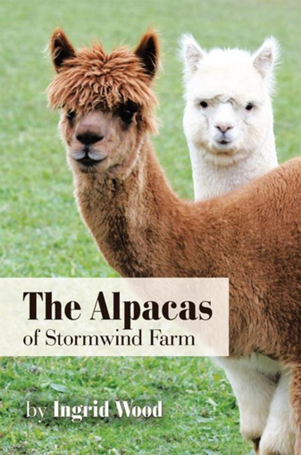 Big bigCover of The Alpacas of Stormwind Farm