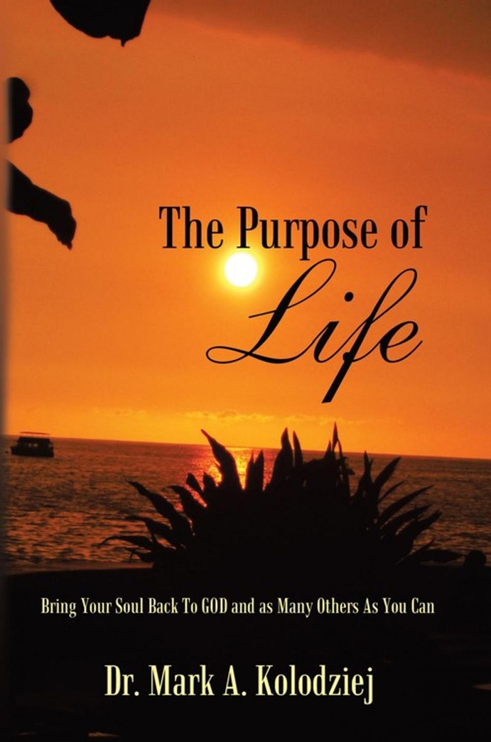 Big bigCover of The Purpose of Life