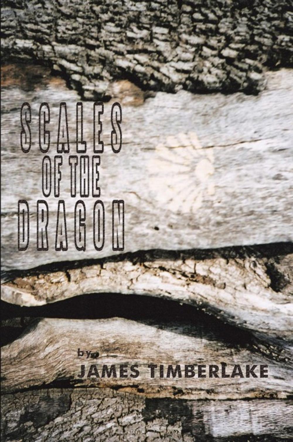 Big bigCover of Scales of the Dragon