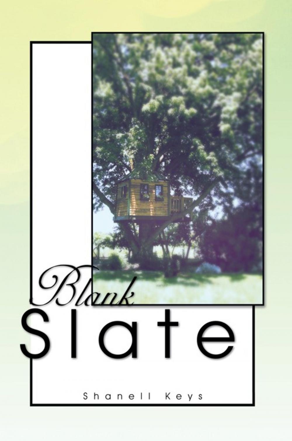 Big bigCover of Blank Slate