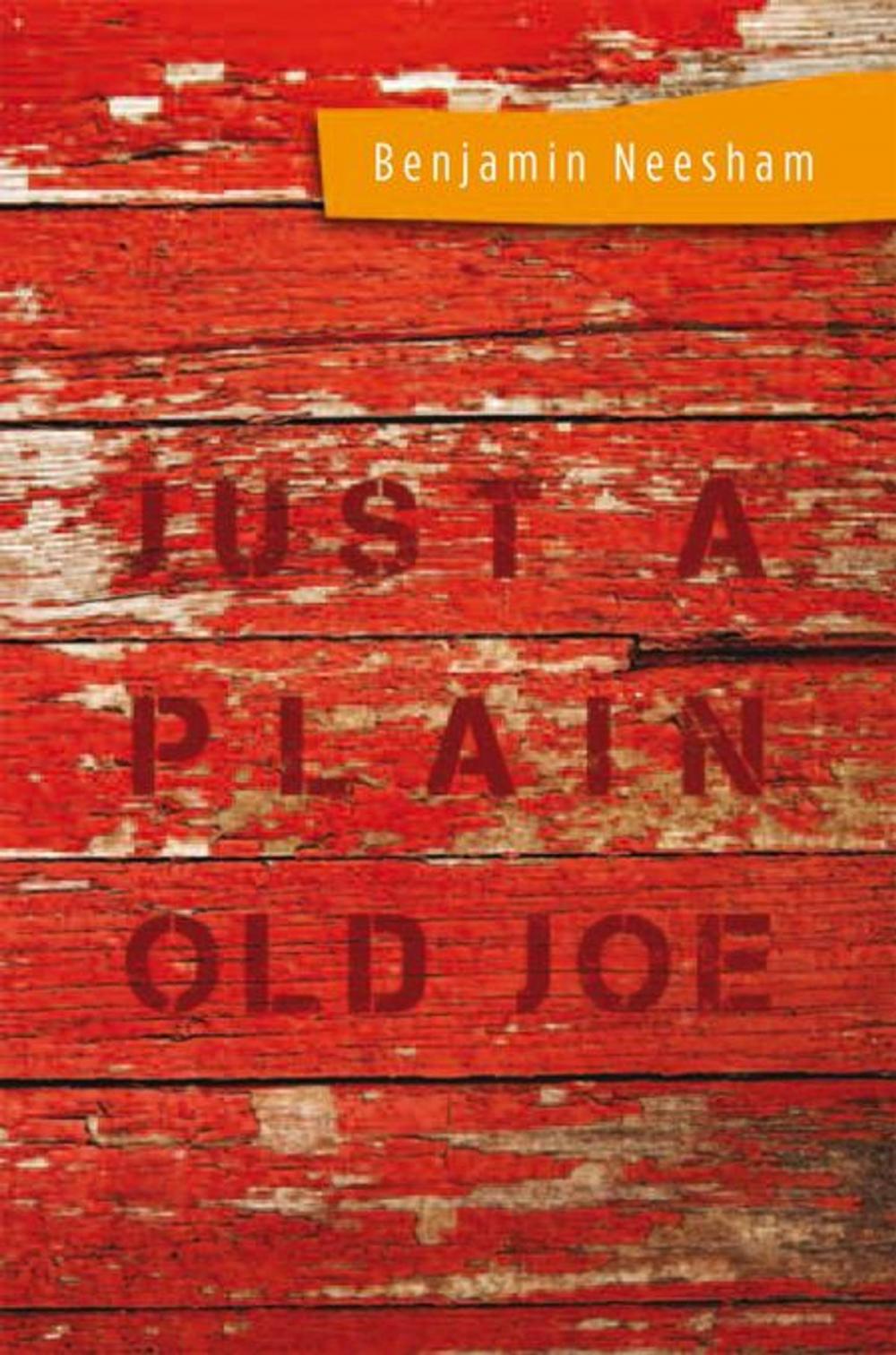 Big bigCover of Just a Plain Old Joe