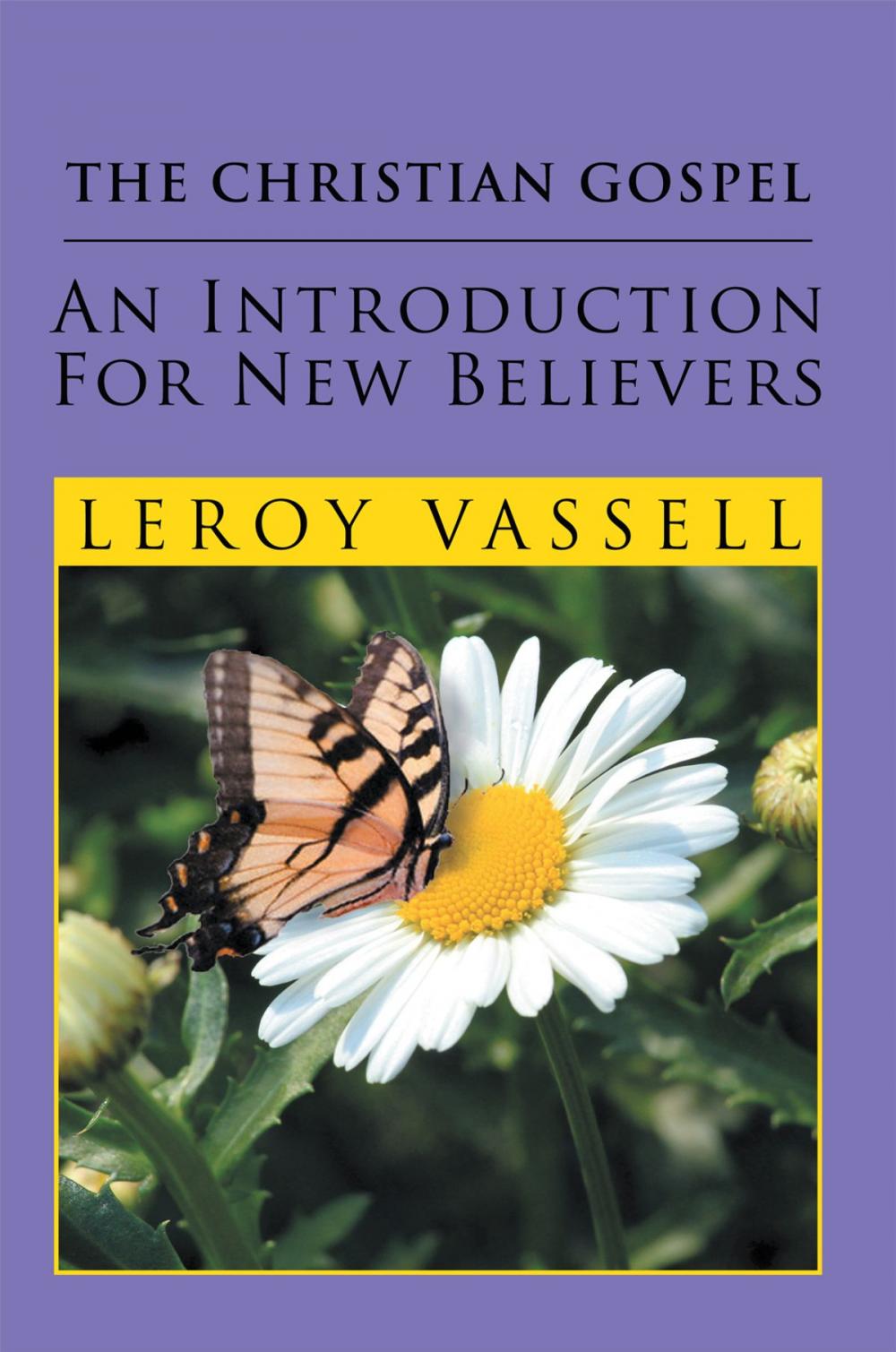 Big bigCover of The Christian Gospel: an Introduction for New Believers