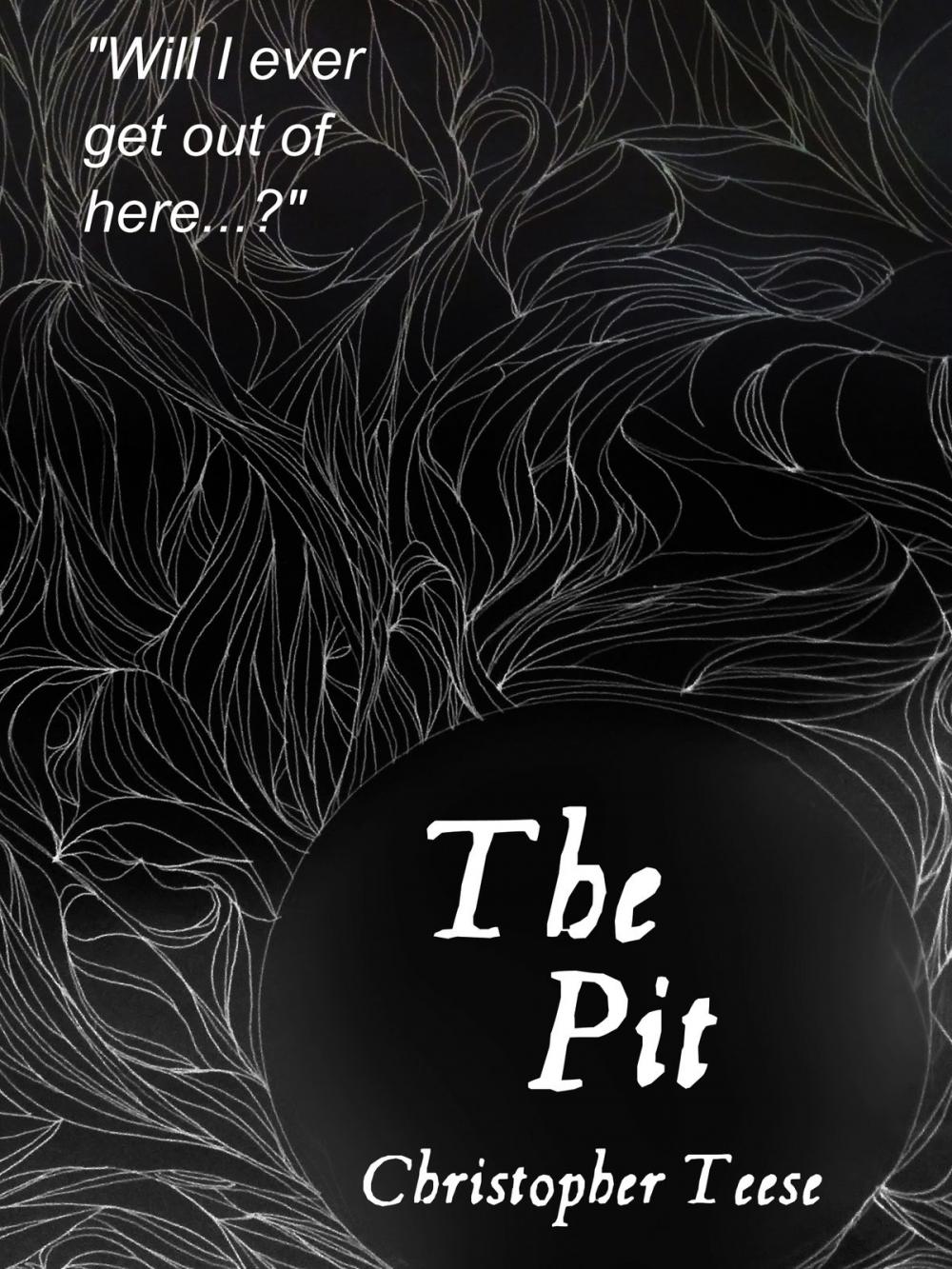 Big bigCover of The Pit