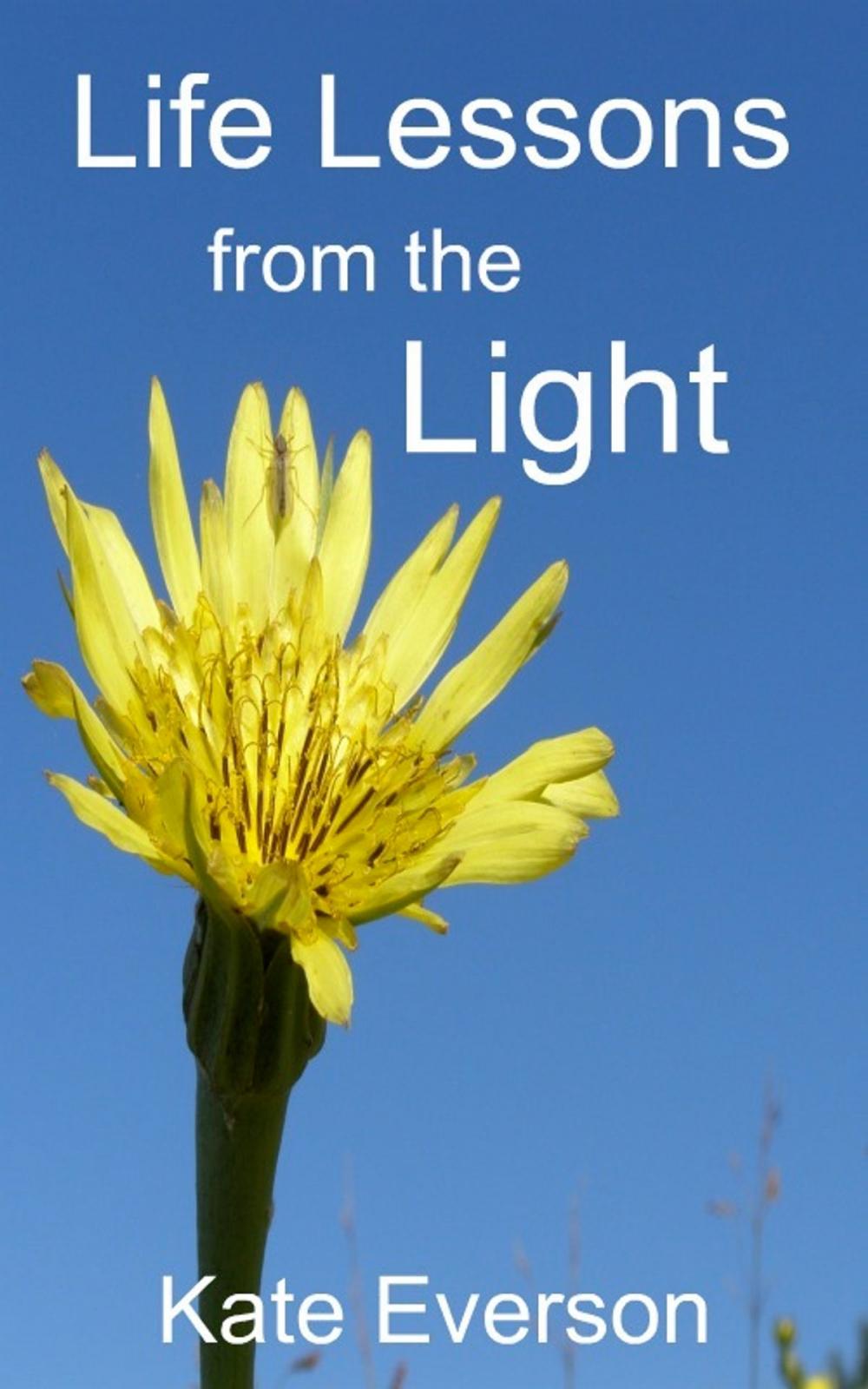 Big bigCover of Life Lessons from the Light